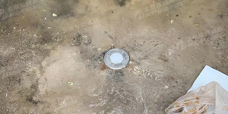 e66c0b9cdad42b06edc3d12fabbb629.jpg e66c0b9cdad42b06edc3d12fabbb629.jpg